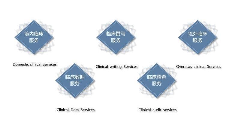 临床插图.jpg